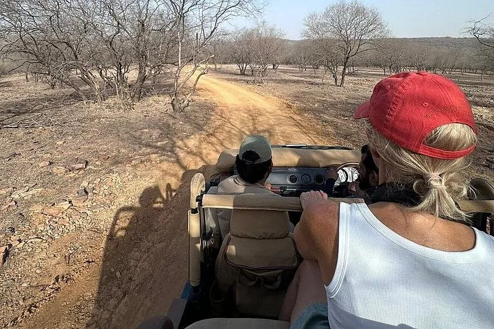 Tourists ride in an open safari vehicle through a dry woodland.