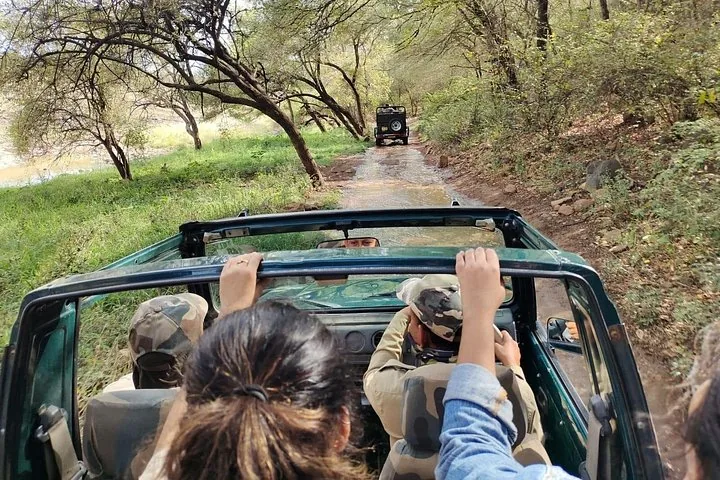 View from inside a safari jeep driving through shallow water on a forest path
